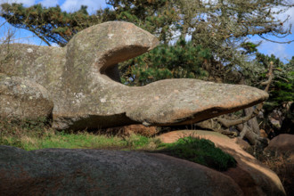 france, région Bretagne, Côtes d'Armor, côte de granit rose, Trégastel,, presqu'ile Renote,