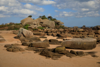 france, région Bretagne, Côtes d'Armor, côte de granit rose, Trégastel,, presqu'ile Renote,