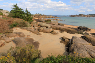 france, région Bretagne, Côtes d'Armor, côte de granit rose, Trégastel,, presqu'ile Renote,