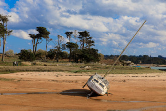 france, région Bretagne, Côtes d'Armor, côte de granit rose, Trégastel,, presqu'ile Renote,