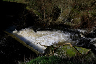 FRance, région Bretagne, Finistère, Huelgoat, les rochers, cahos de huelgoat,