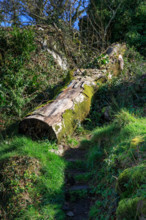 FRance, région Bretagne, Finistère, Huelgoat, les rochers, cahos de huelgoat,