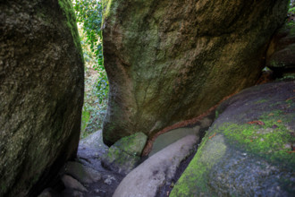 FRance, région Bretagne, Finistère, Huelgoat, les rochers, cahos de huelgoat,