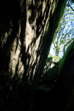 FRance, région Bretagne, Finistère, Huelgoat, les rochers, cahos de huelgoat,