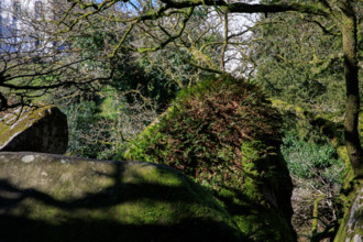 FRance, région Bretagne, Finistère, Huelgoat, les rochers, cahos de huelgoat,
