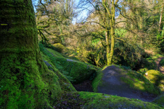FRance, région Bretagne, Finistère, Huelgoat, les rochers, cahos de huelgoat,
