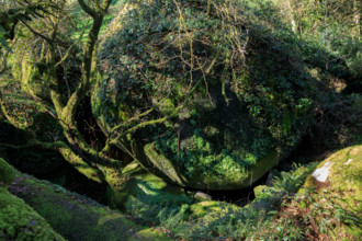 FRance, région Bretagne, Finistère, Huelgoat, les rochers, cahos de huelgoat,