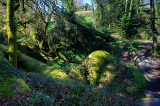 FRance, région Bretagne, Finistère, Huelgoat, les rochers, cahos de huelgoat,