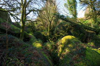FRance, région Bretagne, Finistère, Huelgoat, les rochers, cahos de huelgoat,