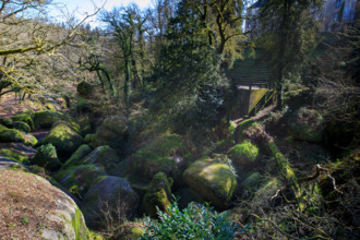 FRance, région Bretagne, Finistère, Huelgoat, les rochers, cahos de huelgoat,