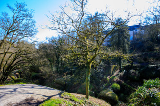 FRance, région Bretagne, Finistère, Huelgoat, les rochers, cahos de huelgoat,
