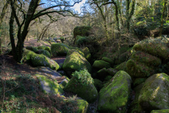 FRance, région Bretagne, Finistère, Huelgoat, les rochers, cahos de huelgoat,