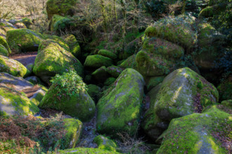 FRance, région Bretagne, Finistère, Huelgoat, les rochers, cahos de huelgoat,