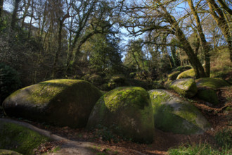FRance, région Bretagne, Finistère, Huelgoat, les rochers, cahos de huelgoat,