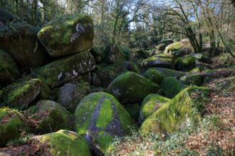 FRance, région Bretagne, Finistère, Huelgoat, les rochers, cahos de huelgoat,