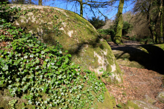 FRance, région Bretagne, Finistère, Huelgoat, les rochers, cahos de huelgoat,
