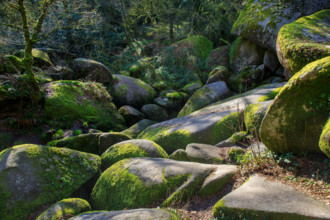 FRance, région Bretagne, Finistère, Huelgoat, les rochers, cahos de huelgoat,