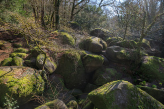 FRance, région Bretagne, Finistère, Huelgoat, les rochers, cahos de huelgoat,