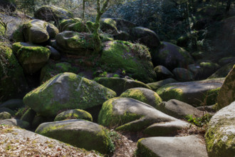 FRance, région Bretagne, Finistère, Huelgoat, les rochers, cahos de huelgoat,
