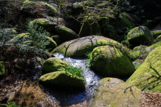 FRance, région Bretagne, Finistère, Huelgoat, les rochers, cahos de huelgoat,