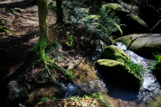 FRance, région Bretagne, Finistère, Huelgoat, les rochers, cahos de huelgoat,