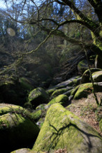 FRance, région Bretagne, Finistère, Huelgoat, les rochers, cahos de huelgoat,