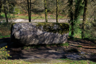 FRance, région Bretagne, Finistère, Huelgoat, les rochers, cahos de huelgoat, la roche tremblante,