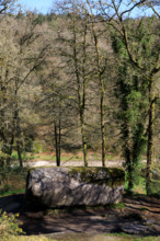 FRance, région Bretagne, Finistère, Huelgoat, les rochers, cahos de huelgoat, la roche tremblante,