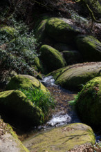 FRance, région Bretagne, Finistère, Huelgoat, les rochers, cahos de huelgoat,