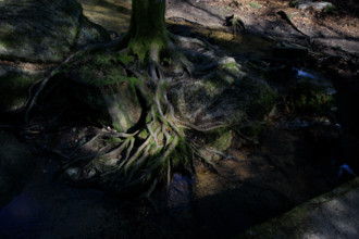 FRance, région Bretagne, Finistère, Huelgoat, les rochers, cahos de huelgoat,