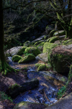 FRance, région Bretagne, Finistère, Huelgoat, les rochers, cahos de huelgoat,
