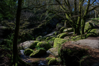FRance, région Bretagne, Finistère, Huelgoat, les rochers, cahos de huelgoat,