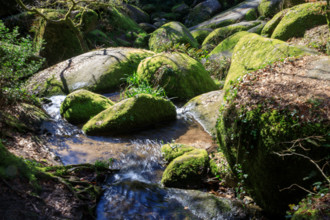 FRance, région Bretagne, Finistère, Huelgoat, les rochers, cahos de huelgoat,