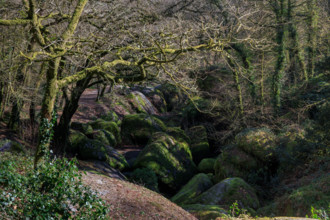 FRance, région Bretagne, Finistère, Huelgoat, les rochers, cahos de huelgoat,
