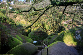 FRance, région Bretagne, Finistère, Huelgoat, les rochers, cahos de huelgoat, la grotte du Diable