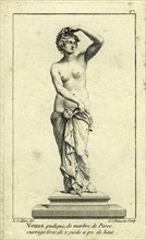 Roman mythology.  Venus