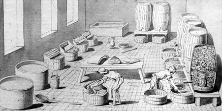 Workshop of dyeing.  Encyclopaedia of Diderot and D' Alembert.