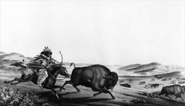 Indian hunting a buffalo