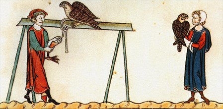 Enluminure, fauconnerie au XIIe siècle