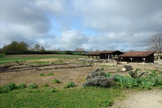 Gallo-Roman villa in Séviac