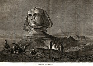 The Sphynx in Egypt.