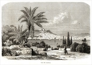 Vue de Naples. 1864.