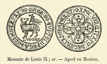 Monnaie de Louis IX.