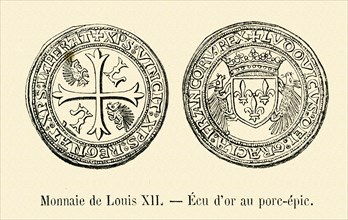 Coin of Louis XII.
