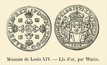 Coin of Louis XIV.