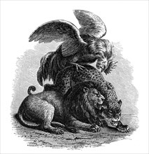 Allegory: The Republican rooster dominating tyranny