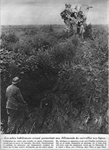 Un arbre creusé permettait aux Allemands de surveiller les lignes françaises.
