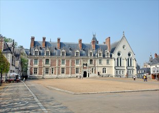 The Royal Castle in Blois.