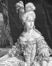 Queen Marie - Antoinette
