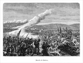 La bataille de Sadowa eut lieu sur un plateau entre l'Elbe et la Bistritz, non loin de la ville